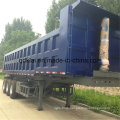 Lufeng 3 Axles Side Tipper Tractor Truck with Dump Trailer for Sale